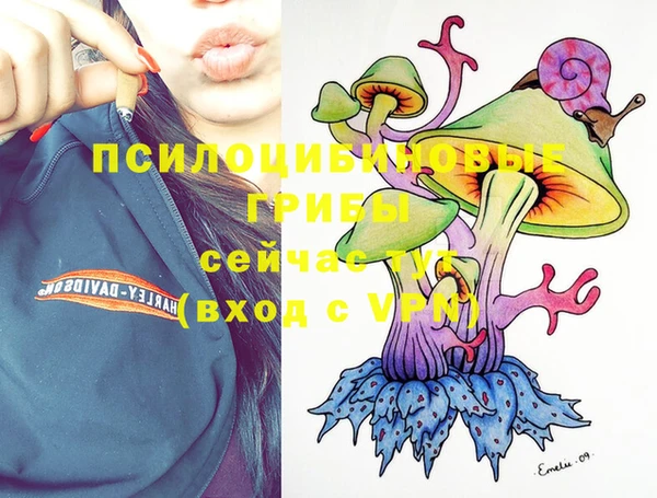 метадон Костерёво